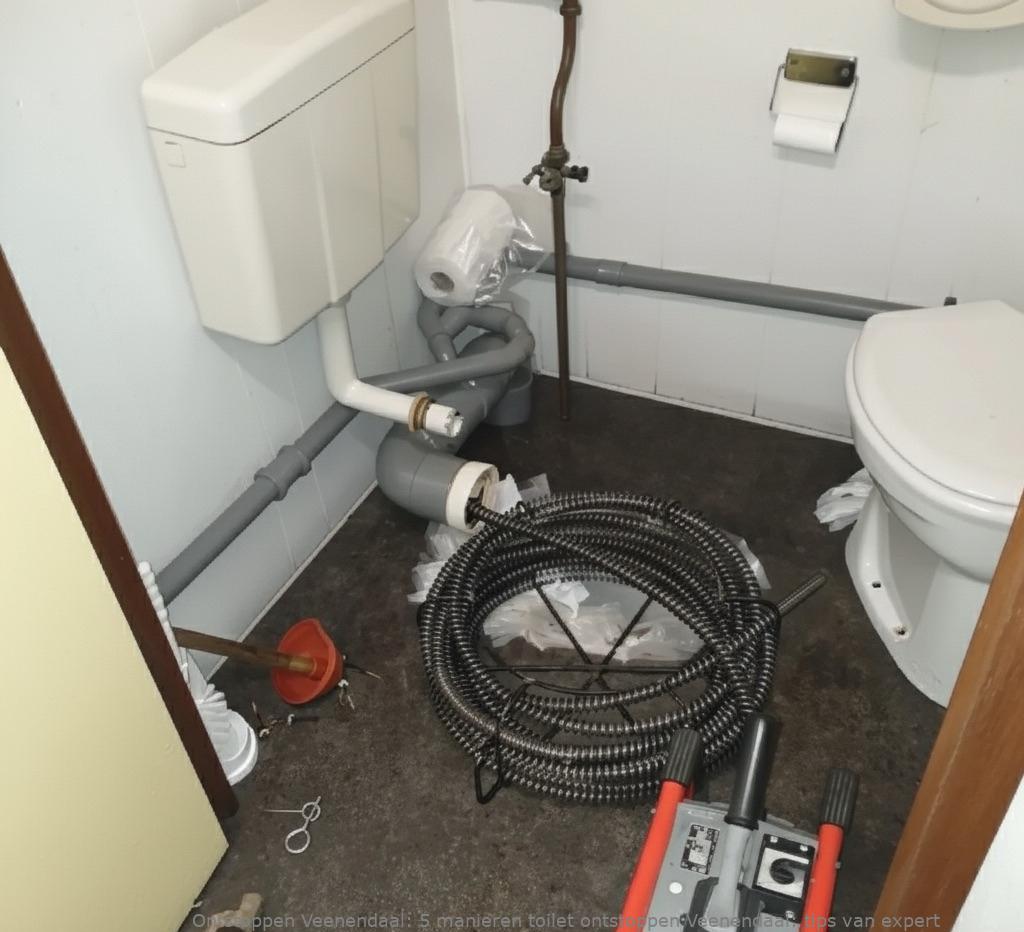 5 manieren toilet ontstoppen Veenendaal: tips van expert