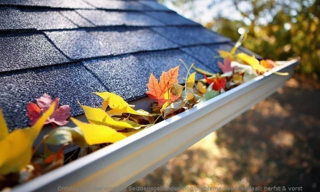 Seizoensgebonden rioolproblemen Veenendaal: herfst & vorst